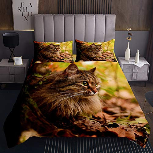 Tbrand Katze Bettüberwurf Niedliches Haustier Kätzchen Muster Steppdecke für Erwachsene 3D Tiermuster Tagesdecke 220x240cm Herbstbaum Blätter Wohndecke 3St. Mit 2 Kissenbezug