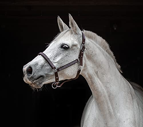Halfter Glitzer Art Strass Braun Hilly Nylonhalfter Pony VB WB X Full Tysons Glitzerhalfter (Warmblut)