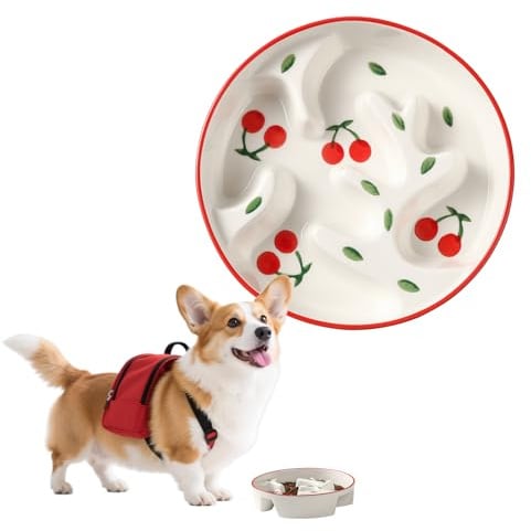 Gamelle Anti-glouton Chien en céramique - Idéale pour Chiens Moyens et Grands, contrôle des portions - Labyrinthe Mignon pour Alimentation Lente - 310 g - Série Doodle Cerise