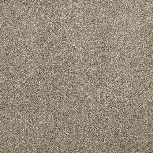 247Floors Saxony Carpet 17mm Thick Flecked Stain Resistant Actionback (Mink, 2.5m x 4m)