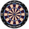 FOCO Offiziell lizenzierte West Ham FC Dartscheibe