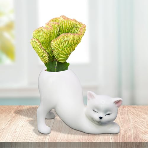 Tailless Cat Planter Pot, Unique Little Kitty Cactus Indoor Flower Pot, Ceramic Cute Animal Succulent Plant Pot, Novelty Flowerpot Ideal Gifts, Lovely Office Desk Room Home Decor (White)