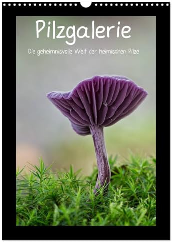 Pilzgalerie - Die geheimnisvolle Welt der heimischen Pilze (Wandkalender 2026 DIN A3 hoch), CALVENDO Monatskalender: Herrliche Pilzaufnahmen im Hochformat (CALVENDO Natur)