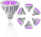 JSVSAL (6 pezzi) lampadine a LED dimmerabili viola MR16 GU5.3 con base bipin 5 W, equivalente a 50 W, AC/DC 12 V bassa tensione, faretti 40 gradi per paesaggio, cortile, giardino, albero
