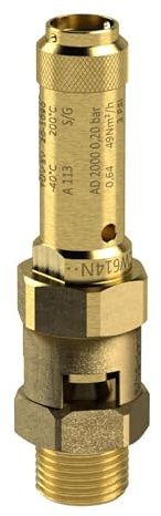 RIEGLER 229.05-1.2 Messing Sicherheitsventil, G 1-1/2 Anschluss, 1.2 bar Ansprechdruck