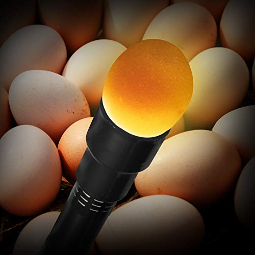 iplusmile Licht Ei Candler Durchleuchten Lampe Ei Inkubator Ei Candler Tester LED Licht Geflügel Helle Taschenlampe Durchleuchten Lampe Inkubator(Zufällige Farbe)