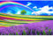 Yingxin34 Puzzles für Erwachsene Puzzle 2000 Teile Schöne Blume mit Regenbogen für Erwachsene Jugendliche-39.17x27.75 Zoll (99.5 x 70.5cm)