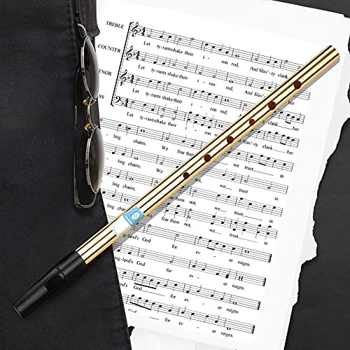 Aumotop Irish Whistle Flute Tonart D 6 Löcher Flöte Blasmusikinstrument für Anfänger Fortgeschrittene Gold Nahtloser Stahl Tragbar (Schlüssel von D)
