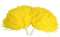 VGEBY Cheerleader-Pompons für Sport, Party, Tanzzubehör, Gelb, 2 Stück