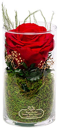 Rosen-Te-Amo | Infinity Rosen | Premium konservierte ewige Rose rot | duftend | handgefertigt Deko-Foliage | feines Design|| Geburtstagsgeschenk für Frauen Mama Freundin Oma