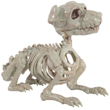 Horror-Shop Schnauzer Hundeskelett als Halloween Dekoration 27 cm
