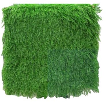 Tejas de paja for casas, alfombras, techos de paja, techos de paja, techos de paja, techos de exterior(Green,3.28x6.56ft)