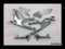TERAM LOISIRS Platines Pilote Droite Gauche Repose Cale Pieds Compatible Yamaha R1 de 2007 2008 Neuf France