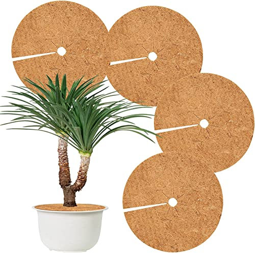 Hydrogarden 4 Stück Kokos Mulchscheibe,Ø30cm Winterschutz Kokos,Kokosscheibe,Winterschutz für Kübelpflanzen,Kokos Pflanzenschutz,Kübelabdeckung Frostschutz,Frostschutz Kälteschutz für Pflanzen
