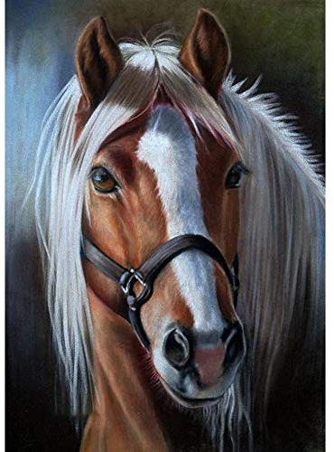 5D Diamond Painting Diamant Malerei Painting Bilder, Wowdecor Schön Pferd Tiere Full Set Groß DIY Diamant Gemälde Malen Nach Zahlen