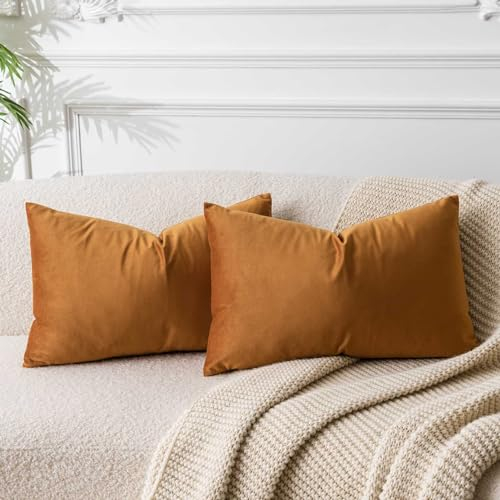 JUSPURBET Rost Lendenkissen Samt-Kissenbezüge 40cmx60cm 2er-Set für Wohnzimmer Couch Sofa Schlafzimmer Dekorative Rechteckig Feste Weiche Kissenhüllen mit unsichtbarem Reißverschluss