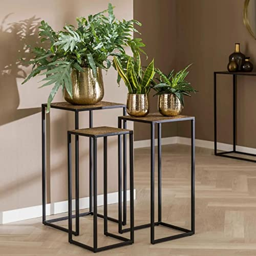 RINGO-Living Blumenständer Metall 3er Set, Indoor Pflanzen Hocker in Bronze-matt & Schwarz-matt, Blumenhocker Metall für den Innenbereich, eckiges Blumenständer Vintage Set, hoher Blumenständer