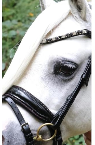Hb Trense Showtime Special A-Pony Schwarz-Rot - Pony