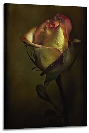GJDYMX Rosen-Poster, einzelne rosafarbene gewellte getrocknete Rose, Poster, dekorative Malerei, Leinwand, Wandposter und Kunstdruck, moderne Familienschlafzimmer-Dekoration, Poster, 50 x 75 cm
