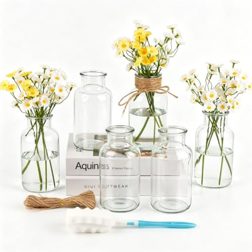 PINIWON Set of 6 Clear Bud Vases, Small Glass Vases, Vintage Medicine Bottles Apothecary Jars, Flower Vases for Home Decor, Wedding Centerpieces