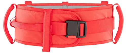 DHG EasyBelt Haltegürtel, Gr. M – Transfergürtel für Rollstuhlfahrer I Sichere Aufstehhilfe & Umsetzhilfe I Manuelle Transferhilfe für pflegebedürftige Personen