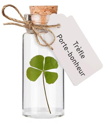 Trèfle à 4 feuilles porte-bonheur dans une fiole en verre pour porter chance, cadeau grigri pour célébrer amour, amitié ou pour un cabinet de curiosités