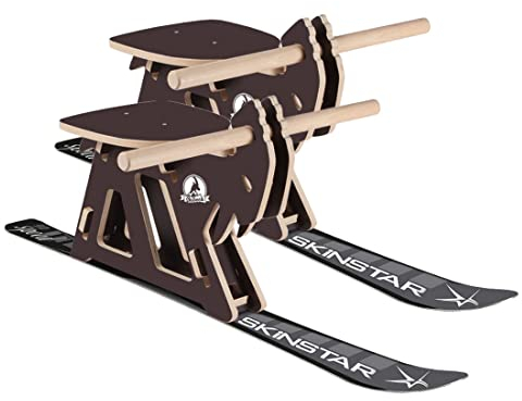 SkiBock Profi Skirodel 2er Komplett Set Schlitten Ski Schnee Rodel Premium