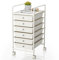 Johgee 6 Drawers Plastic Storage Cart, Multipurpose Mobile Organizer Shelving Unit with Lockable Wheels, Rolling Cart Storage Trolley for Home Office Stationery Makeup Beauty & Salon