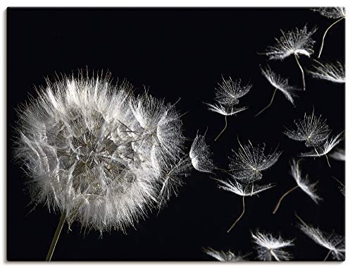 ARTLAND Wanddeko Leinwand Bilder Wandbild 60x45 cm Blumenbilder Pusteblume Blumen Pflanzen Schwarz Weiß U1UG