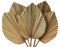 Pockety Lot de 5 feuilles de palmier séchées - 45,7 cm de haut x 25,4 cm de - Décoration de feuille de palmier pour un beau look bohème