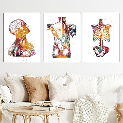 WZXGHE Anatomie Medizin Poster,anatomie Herz Poster Mit Blumen,bilder Herz Lunge Gehirn Arztpraxis Dekoration,Für Krankenhaus Klinik Deko Rahmenlos (A, 3x40x60cm, Ungerahmt)