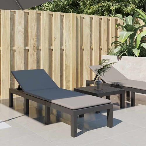 WGYHOME Tumbona con cojín de polipropileno antracita, 195 x 65 cm, respaldo ajustable en 5 posiciones y 3 posiciones de ajuste para jardín, balcón, piscina, resistente a la intemperie y apilable