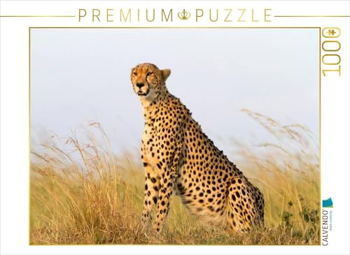 CALVENDO Puzzle Afrika: Gepard in der Masai Mara, Kenia | 1000 Teile Lege-Größe 64 x 48 cm Foto-Puzzle für glückliche Stunden