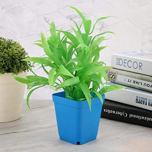 Lot de 20 pots de fleurs en plastique Mini bac à graines Petits récipients carrés pour jardinage bleu