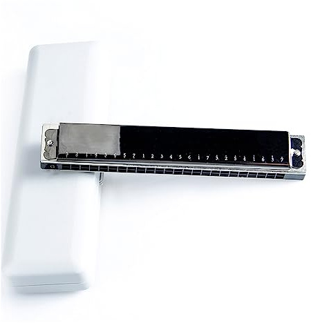Mundharmonikas 24 Löcher Tremolo-Mundharmonika C-Taste Polyphonie-Mundharmonika Oktav Gestimmte Mundharmonika Mit Koffer
