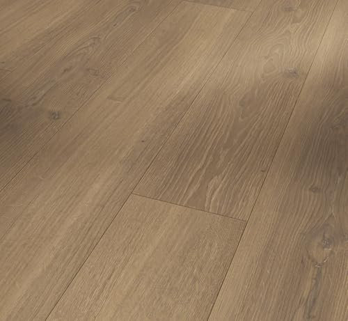 Parador Dekorboden Laminat Trendtime 6 Eiche Studioline honig Naturmattstruktur Schlossdiele 4-V-Fuge