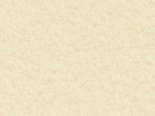 A4 Cream Craft Creations Mottled Parchment Effect Card - 200gsm 300mic Rough Textured Card Stock - Parch Marque (50)