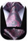 HISDERN Cravate pour Homme Rose et Argent à Motif Cachemire Mariage Élégant Cravates Extra Longues Hommes et Pochette de Costume, XL