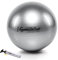 PEZZI Original Ball Standard 75cm Silber Pumpe Gymnastikball Sitzball