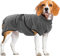 Royal Dry Hundebademantel M – Rückenlänge 50–58 cm – Mikrofaser – Für mittelgroße Hunde – Schnelltrocknend mit Klettverschluss – Grau