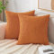 EMEMA Kissenbezug 50x50 cm Herbst Kordsamt Kissenbezüge Dekokissen Sofakissen Cord Kissenhülle Zierkissenbezug Kord Dekorative Weiche für Sofa Wohnzimmer Schlafzimmer 2er Set Gebranntes Orange