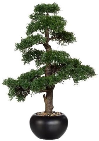 artplants.de Dekobaum Bonsai Zeder Falke mit Wurzeln, Keramiktopf, 70cm - Kunstbaum Zeder