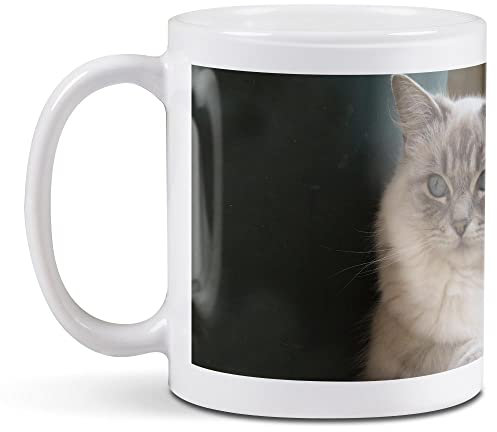 1 x 11oz (284ml) White Ceramic Mug Cup - Ragdoll Cat Kitten Cats Cute Design for Coffee Tea Drinks Kitchen Birthday Office Fun #2285