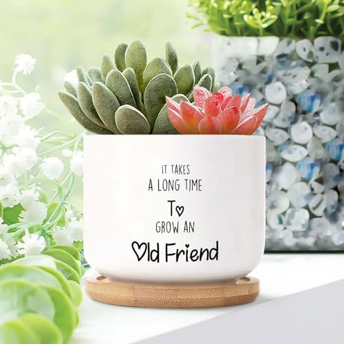 Yelolyio It Takes A Long Time to Grow An Old Friends Planters Ceramic Saying Quotes Round Flower Pots With Drainage Holes And Bamboo Tray Pot For Home Office Decoration