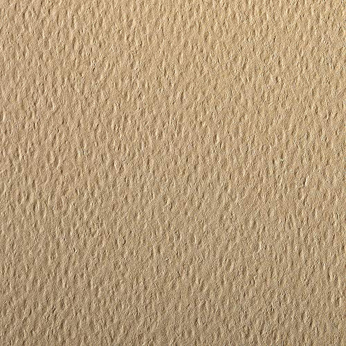 Clairefontaine 93866C Packung (mit 25 Bögen Zeichenpapier Etival Color, DIN A4, 21 x 29,7 cm, 160g, gekörnt, ideal für Trockentechnik und Einrahmen) kamelbraun