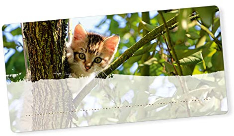 itenga 40x Buchetiketten Heftetiketten 9x4,5cm I Schulheft Etiketten I Namensschild beschreibbar selbstklebend Aufkleber aus Haftpapier (Katze)