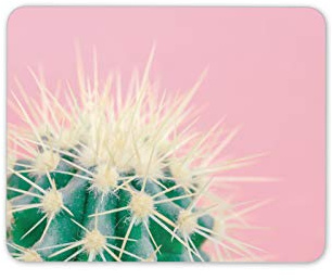 Destination Vinyl Ltd Cacti Cactus Art Mouse Mat Pad - His Hers Teen Fun Computer #16912