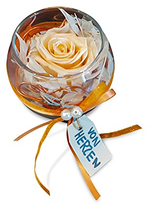 BEIJA FLOR Handgefertigte konservierte Rose im Glas - Echte Ewige Rose - 3 Jahre haltbar - stilvolle Dekoration mit Infinity Rose - Geschenk für jeden Anlass – Made in Germany (Apricot)