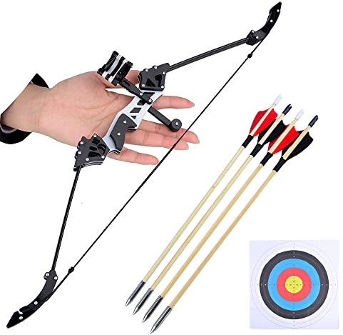 Mini Bogen und Pfeile Set für Kinder und Jugend, Kinderbogen Taschenbogen Compound Recurve Bogen Pfeile mit Zielscheibe für Bogenschießen Outdoor Schießen (Typ 2)