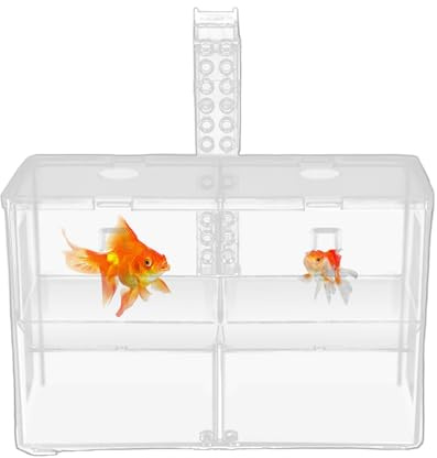 Aufzuchtschale für Fische – Inkubator zur Isolierung transparent – Doppelkammer-Isolierbox für Aquarium | für Alevins Guppy Betta Süßwasser Meerwasser